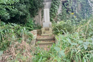 お墓の状態が気になる