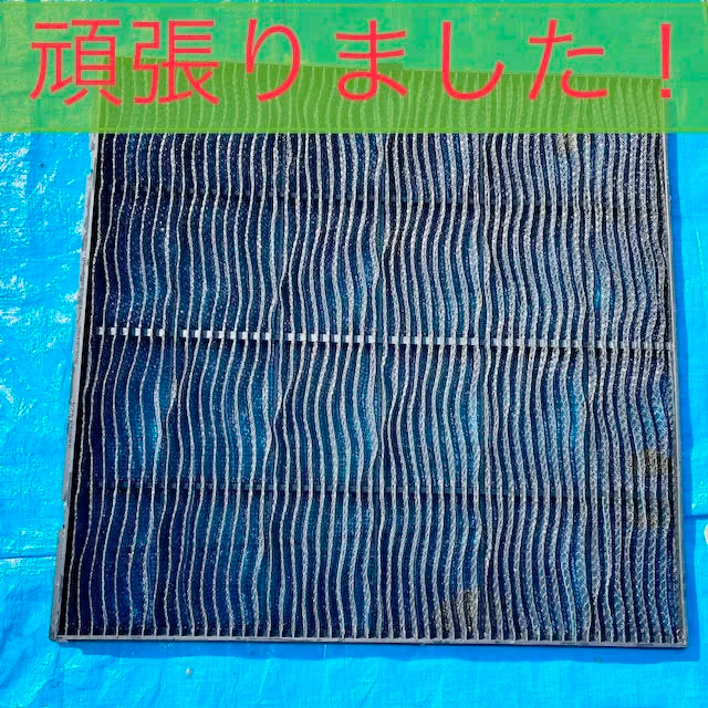フィルター清掃の様子4