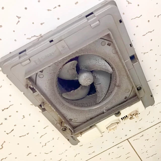 換気扇内部の状況5
