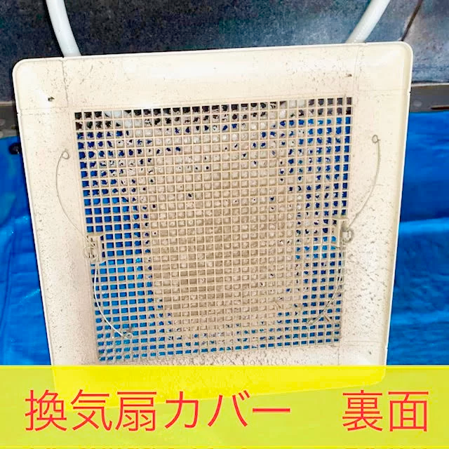 換気扇内部の状況10