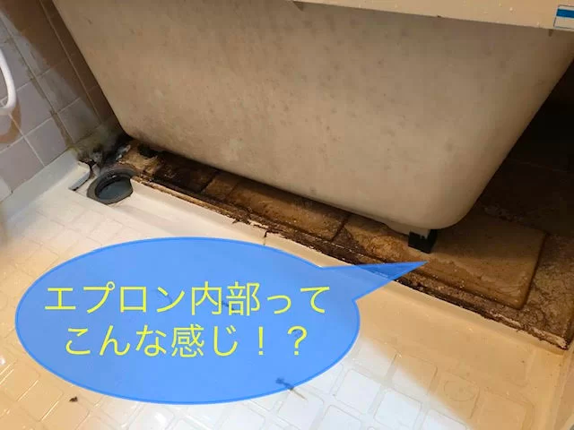 水回り清掃の作業風景