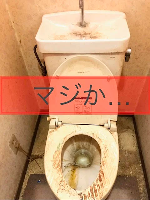 水回り清掃の作業風景