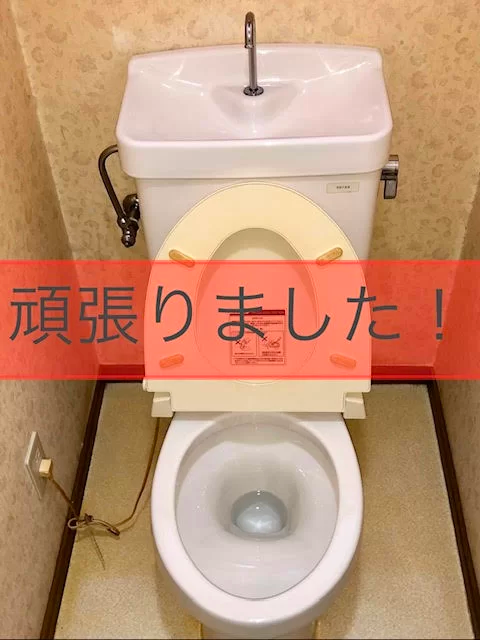 水回り清掃の作業風景