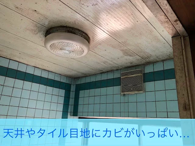 水回り清掃の作業風景