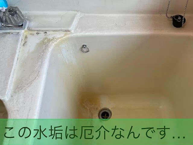 水回り清掃の作業風景
